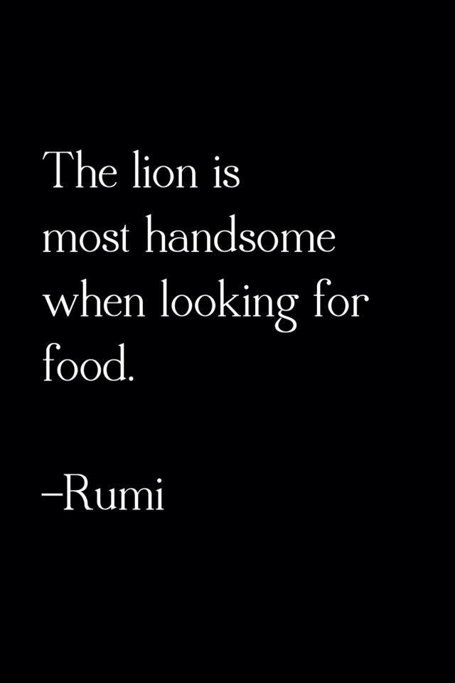 rumi - lion