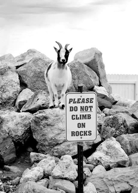 Don't climb on rocks
