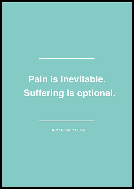 pain:suffering - murakami