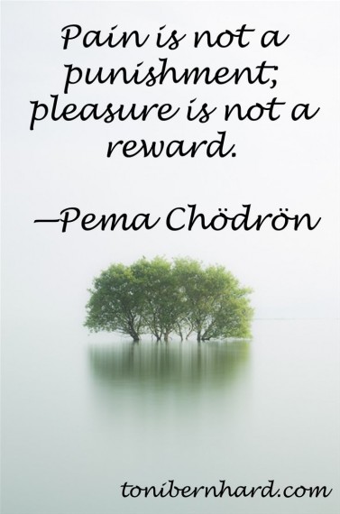 Pema chodron on pain and pleasure