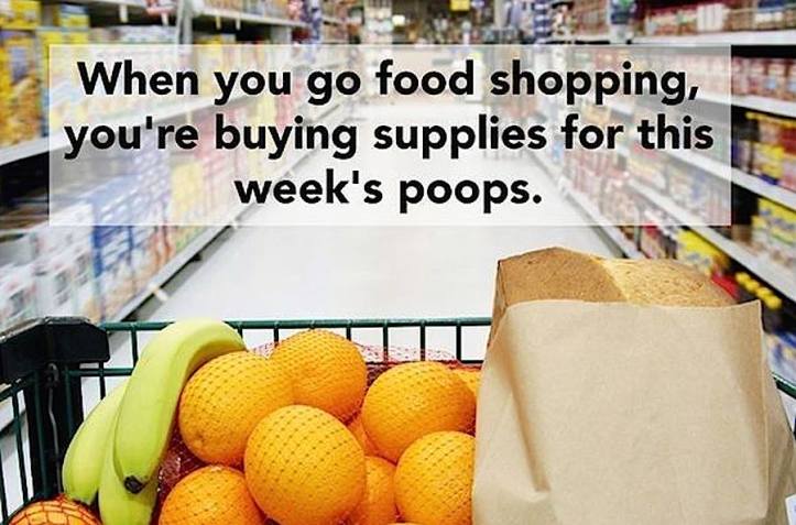 shopping for poops